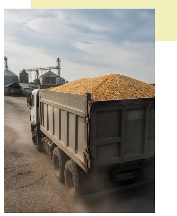 Перевозка сельхозпродукции навалом в Усть-Илимск по цене от 3120 р. | Агросервис-Сть